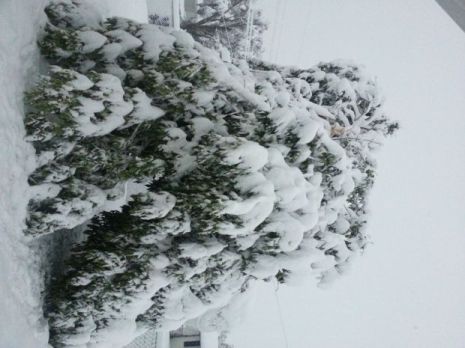 Winter Storm Atlas